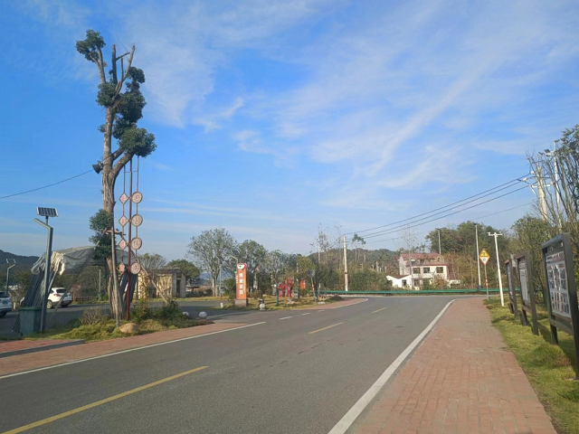 四棵枫四好公路项目